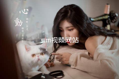 sm视频网站